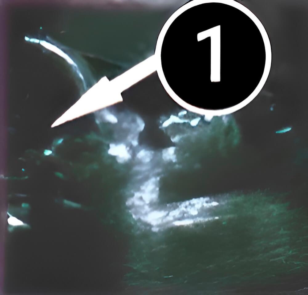 Durmiendo y creciendo