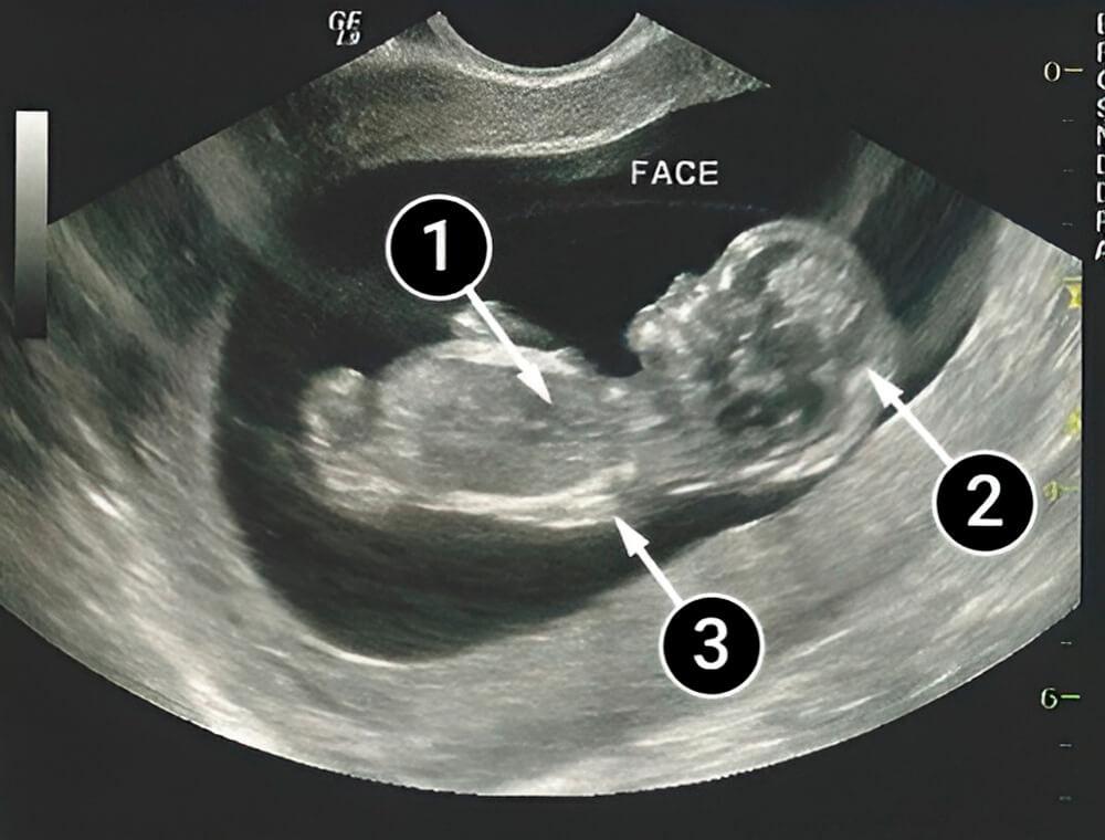 Una nueva etapa de la vida